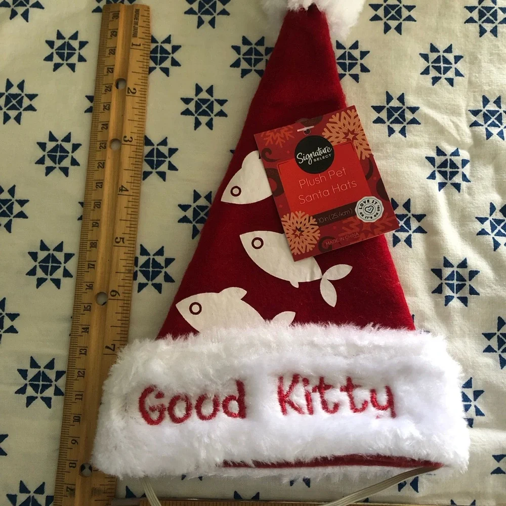 Santa Christmas cat for cat